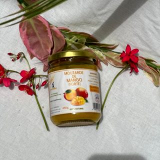 CONFITURE DE MANGUE 450G
